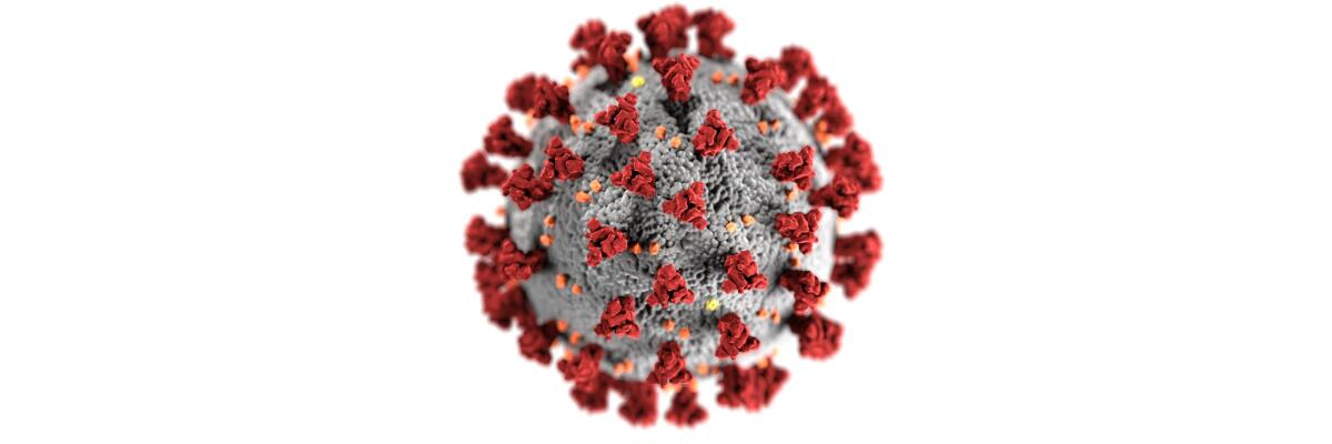 Coronavirus: Wichtige Informationen - Coronavirus: Wichtige Informationen