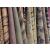 Cork carpet Corkoleum whole rolls dyed variants 7,70qm, delivery time