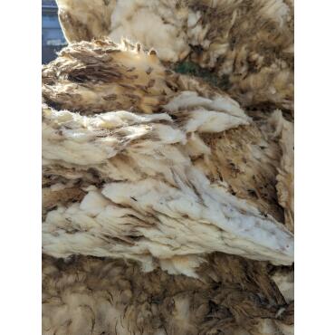 50 litres de laine de mouton, non triée, engrais, isolant, paillis